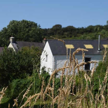 Nantgwynfaen Organic Farm Wales Villa Llandysul Eksteriør billede