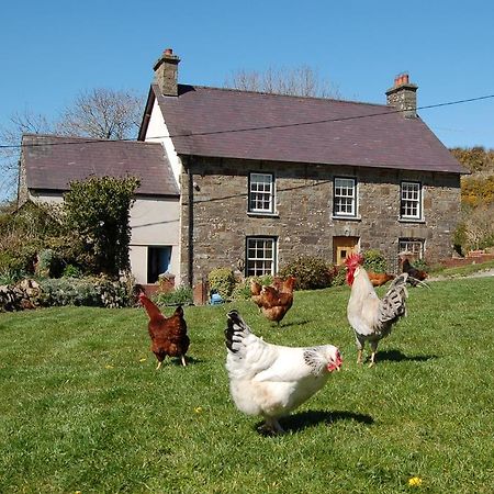 Nantgwynfaen Organic Farm Wales Villa Llandysul Eksteriør billede