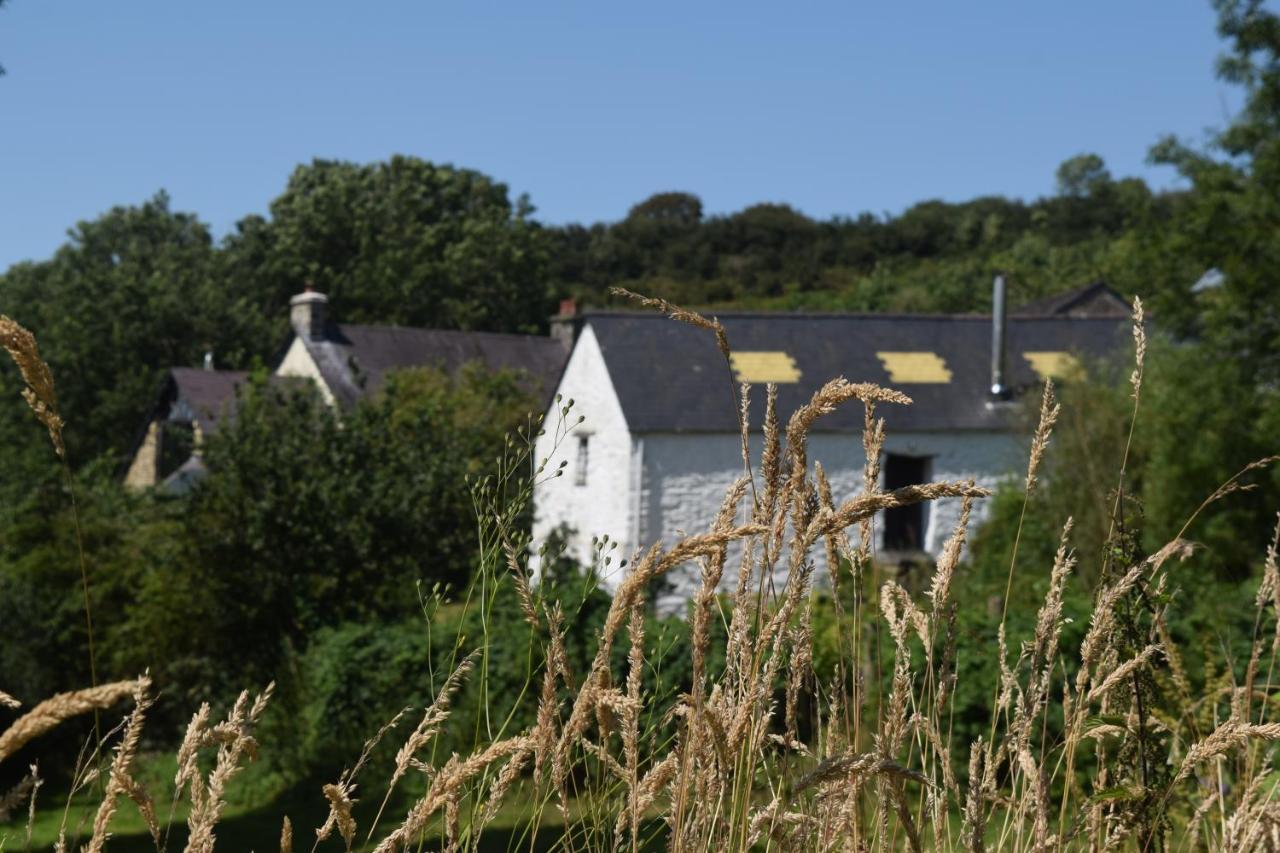 Nantgwynfaen Organic Farm Wales Villa Llandysul Eksteriør billede