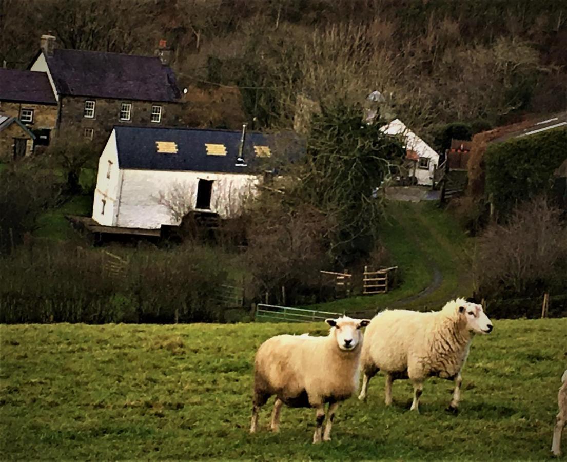 Nantgwynfaen Organic Farm Wales Villa Llandysul Eksteriør billede