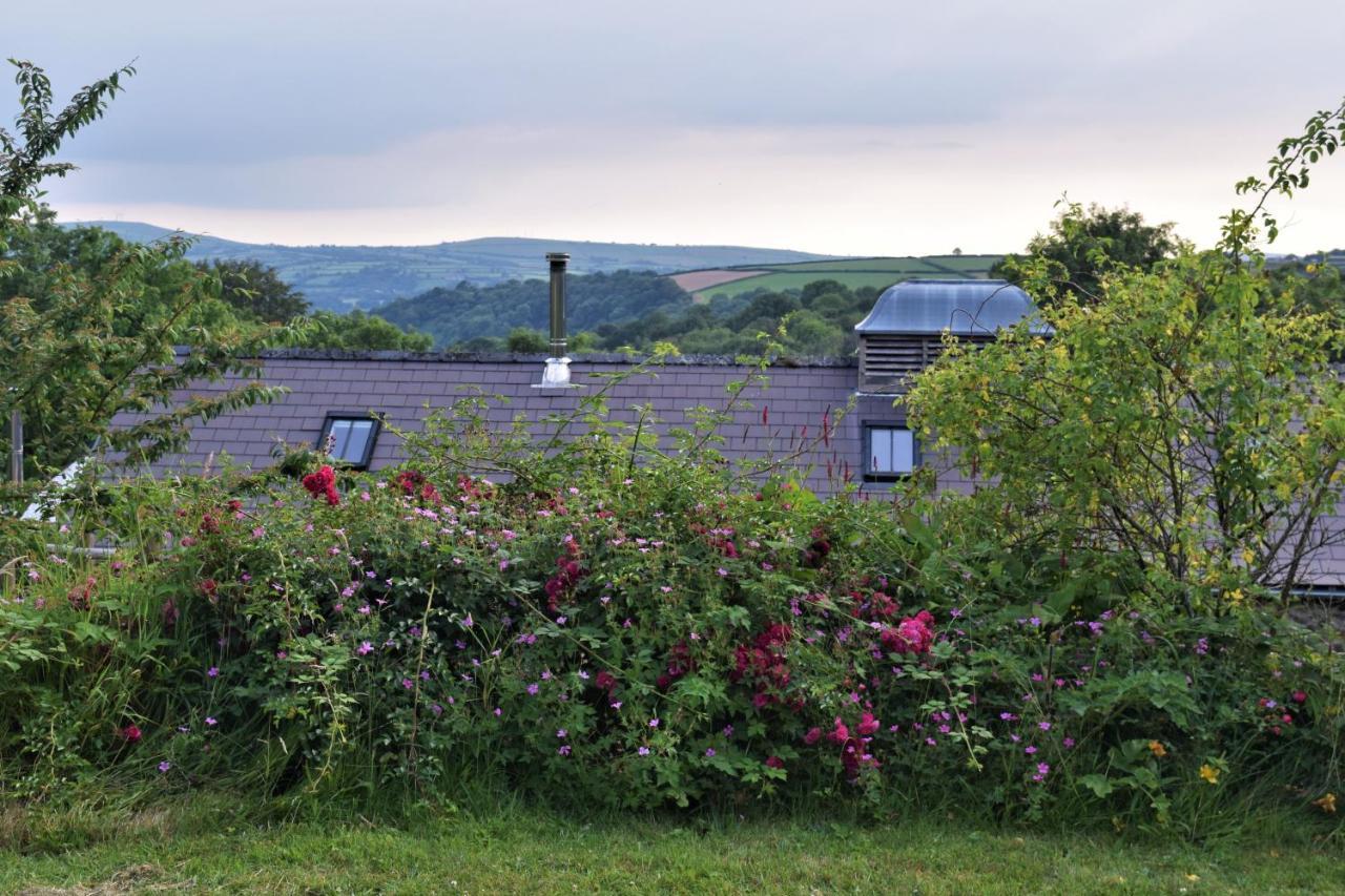 Nantgwynfaen Organic Farm Wales Villa Llandysul Eksteriør billede