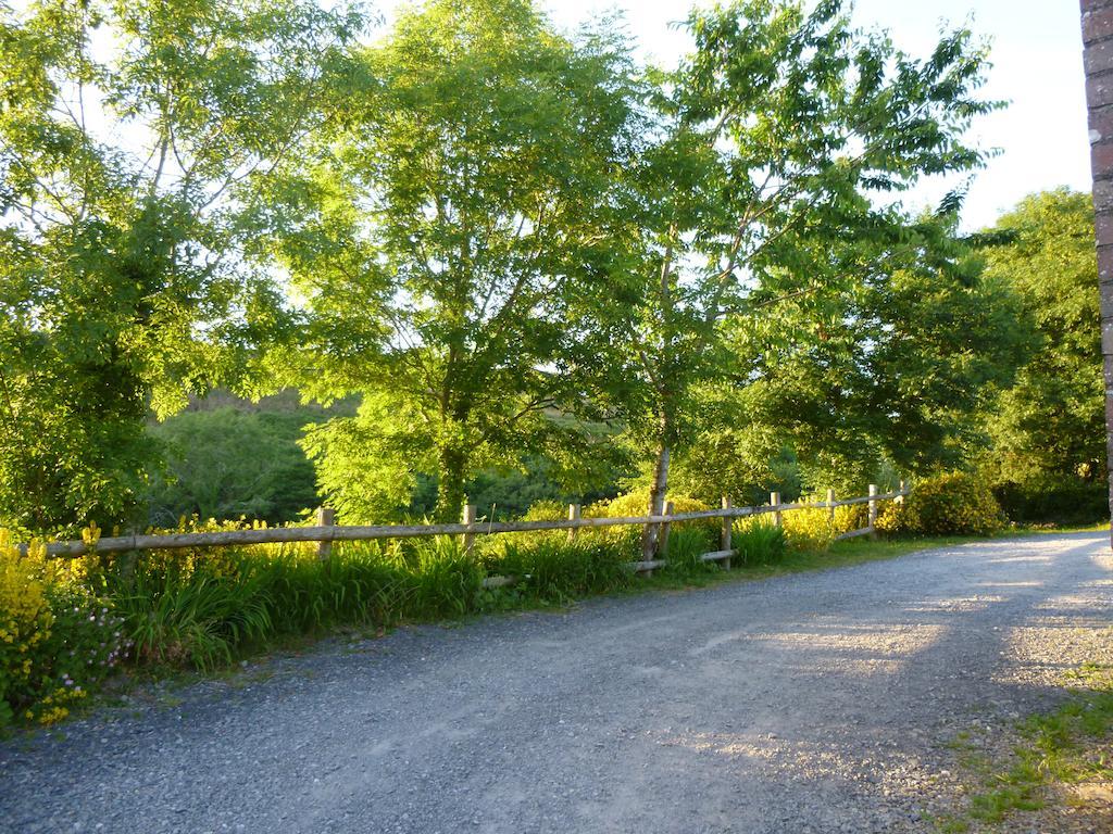 Nantgwynfaen Organic Farm Wales Villa Llandysul Eksteriør billede