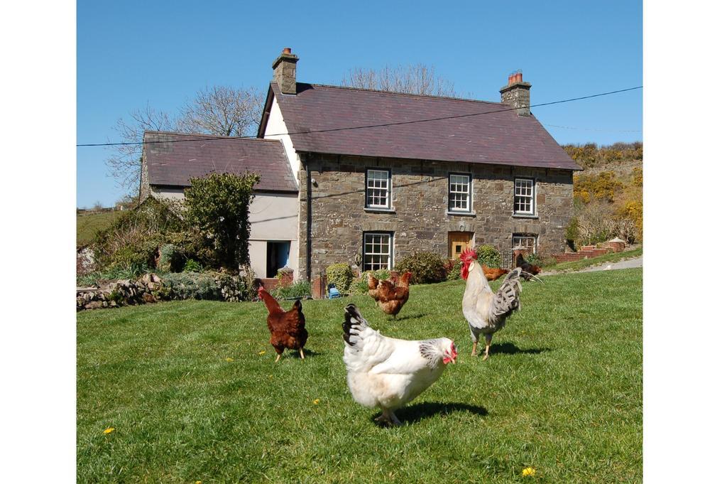 Nantgwynfaen Organic Farm Wales Villa Llandysul Eksteriør billede