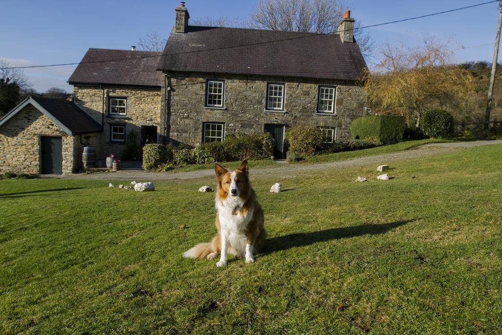 Nantgwynfaen Organic Farm Wales Villa Llandysul Eksteriør billede